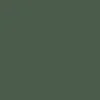 Mr. Color C523 Grass Color 10ml