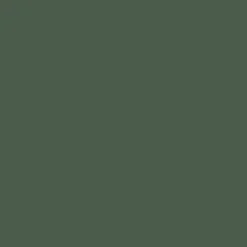 Mr. Color C523 Grass Color 10ml
