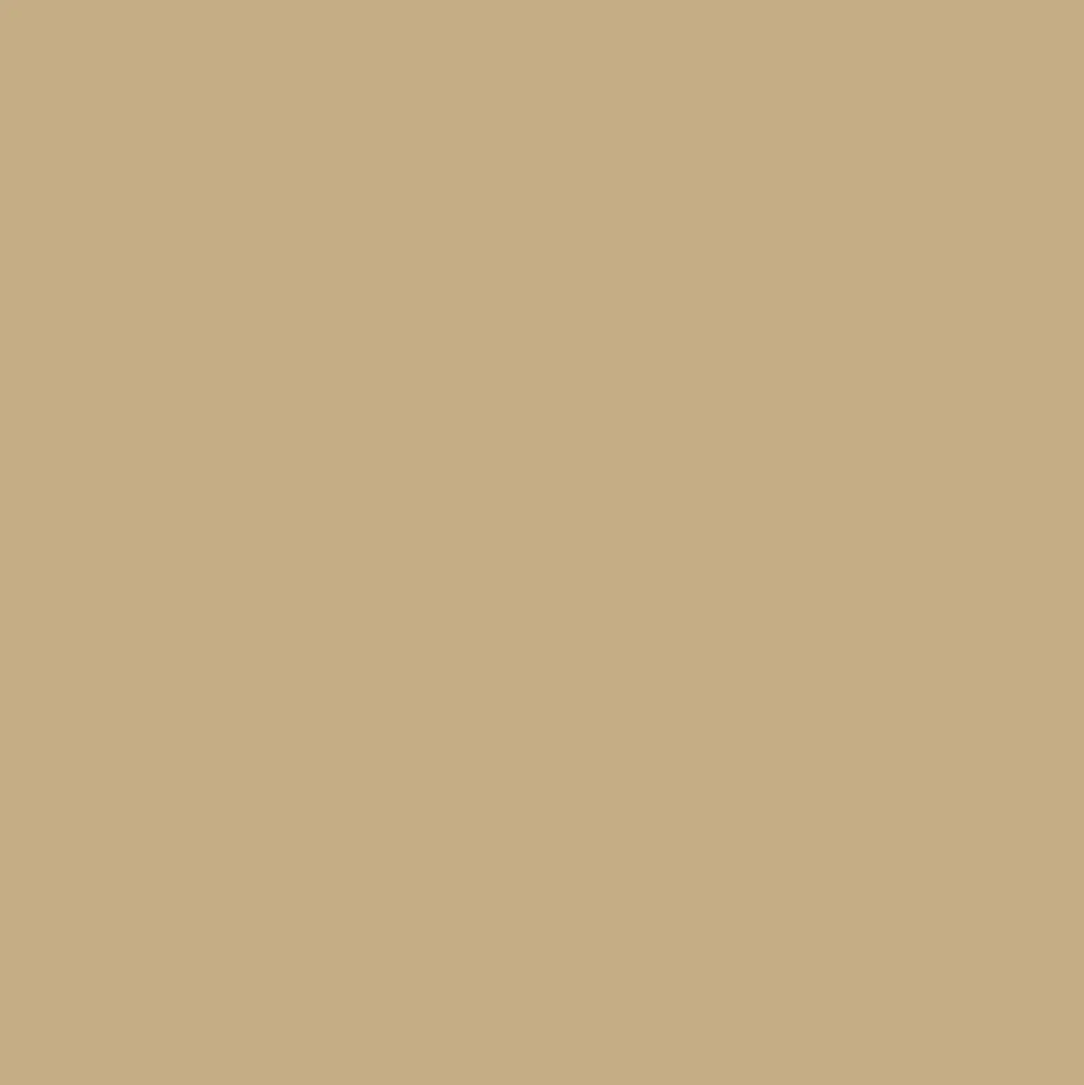 Mr. Color C528 IDF Gray 1 1981 Sinai 10ml