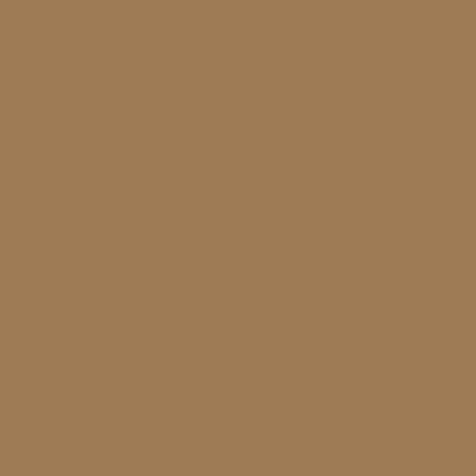 Mr. Color C527 Khaki 10ml