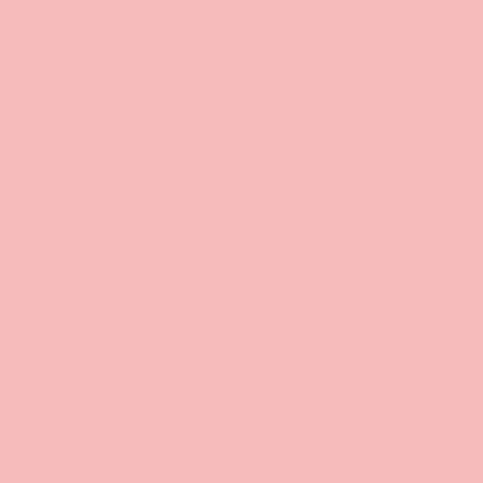 Mr. Color C112 Semi-Gloss Character Flesh(2) 10ml