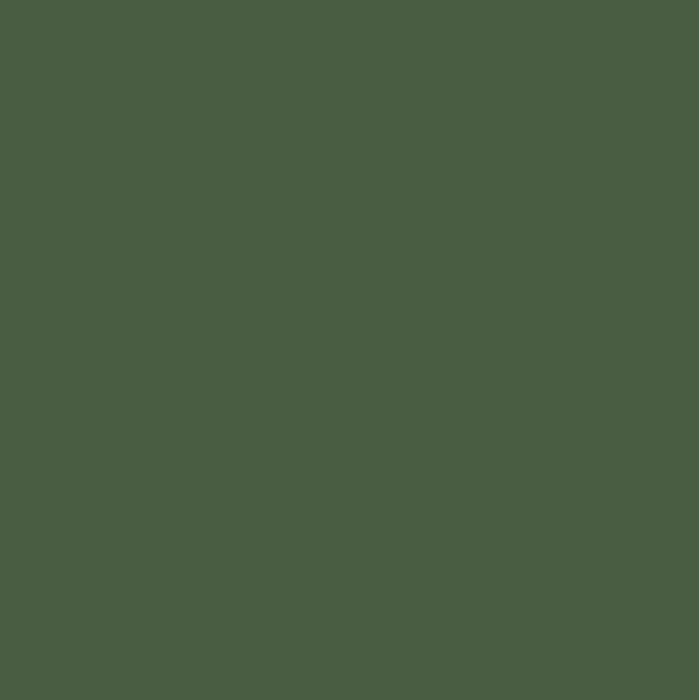 Mr. Color C130 Semi-Gloss Dark Green (Kawasaki) 10ml