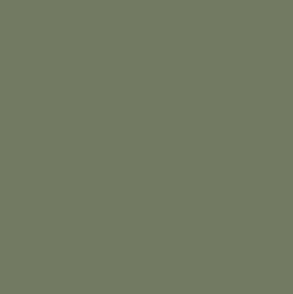 Mr. Color C25 Semi-Gloss Dark Seagray 10ml
