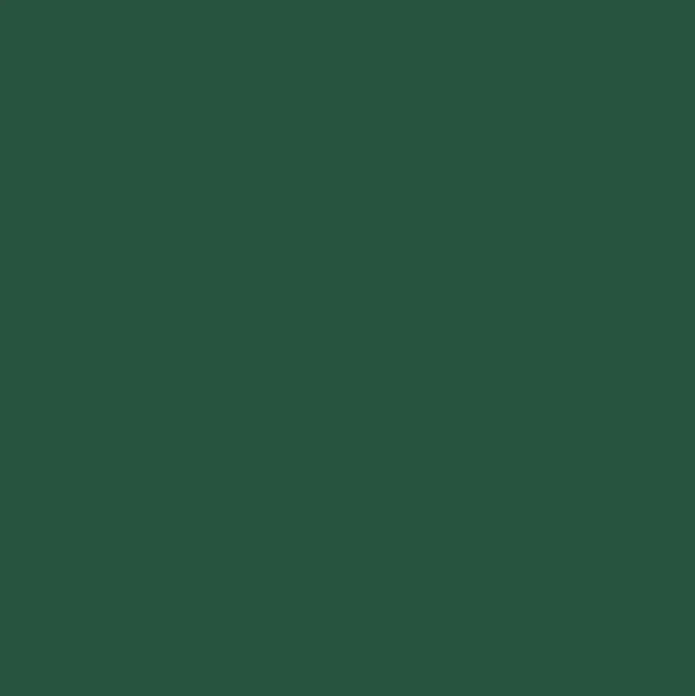 Mr. Color C340 Semi-Gloss Field Green FS34097 10ml