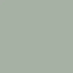 Mr. Color C325 Semi-Gloss Gray FS26440 10ml