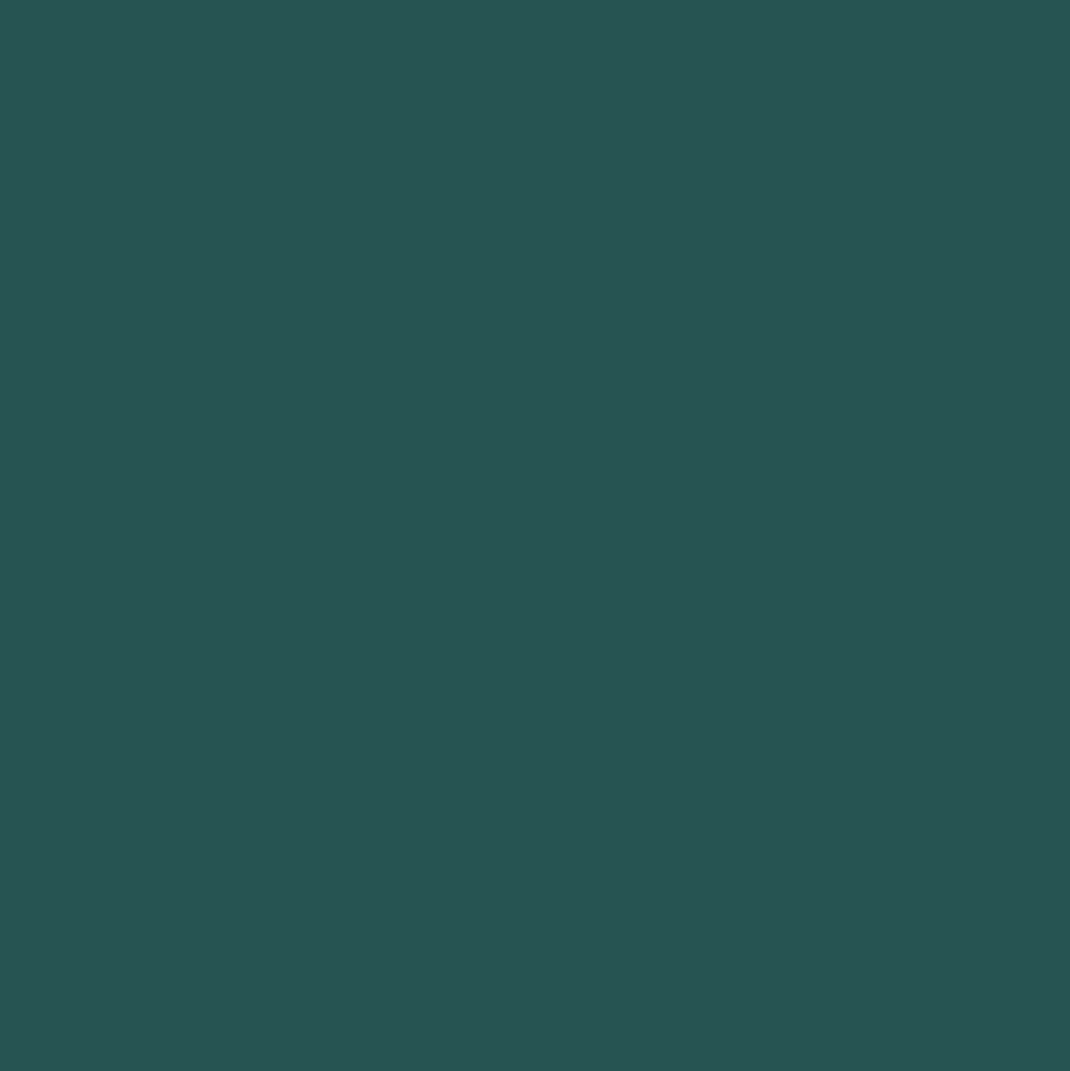 Mr. Color C302 Semi-Gloss Green FS34092 10ml