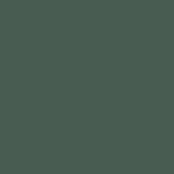 Mr. Color C303 Semi-Gloss Green FS34102 10ml
