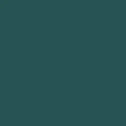 Mr. Color C309 Semi-Gloss Green FS34079 10ml