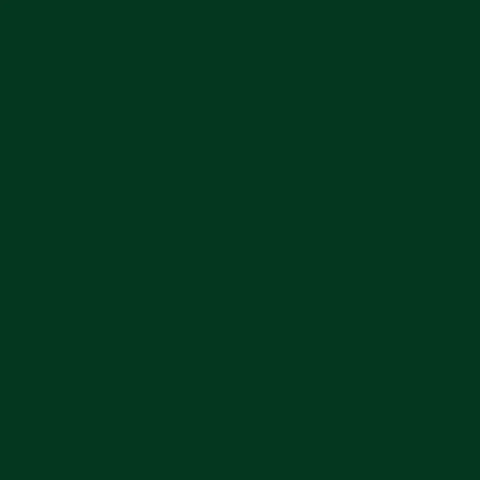 Mr. Color C16 Semi-Gloss IJA Green 10ml