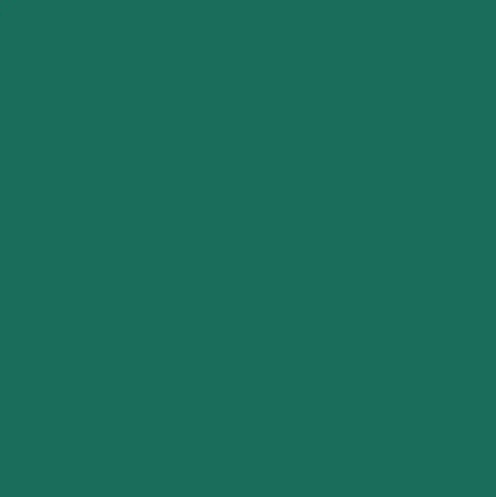 Mr. Color C319 Semi-Gloss Light Green 10ml
