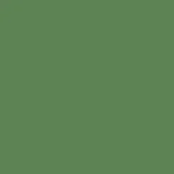Mr. Color C122 Semi-Gloss RLM82 Light Green 10ml