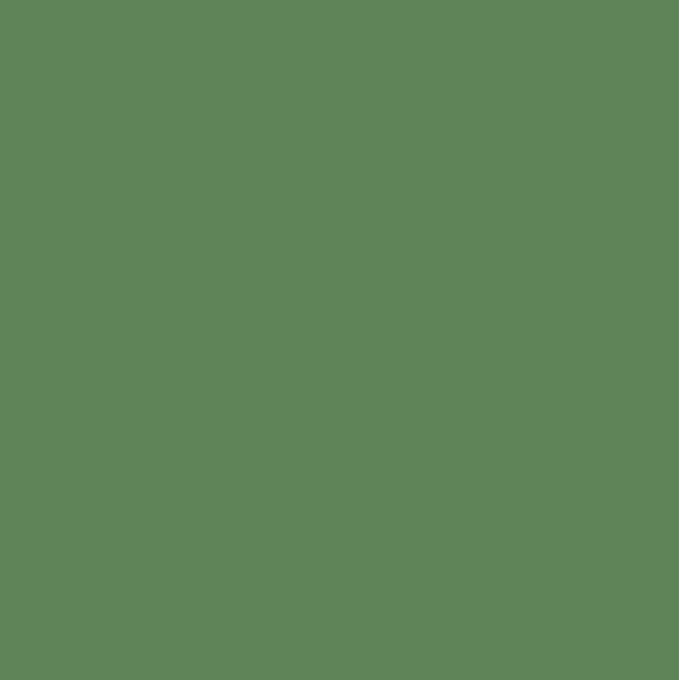 Mr. Color C122 Semi-Gloss RLM82 Light Green 10ml