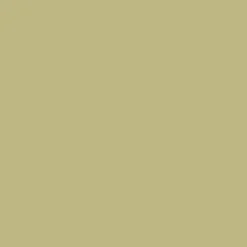 Mr. Color C45 Semi-Gloss SAil 10ml