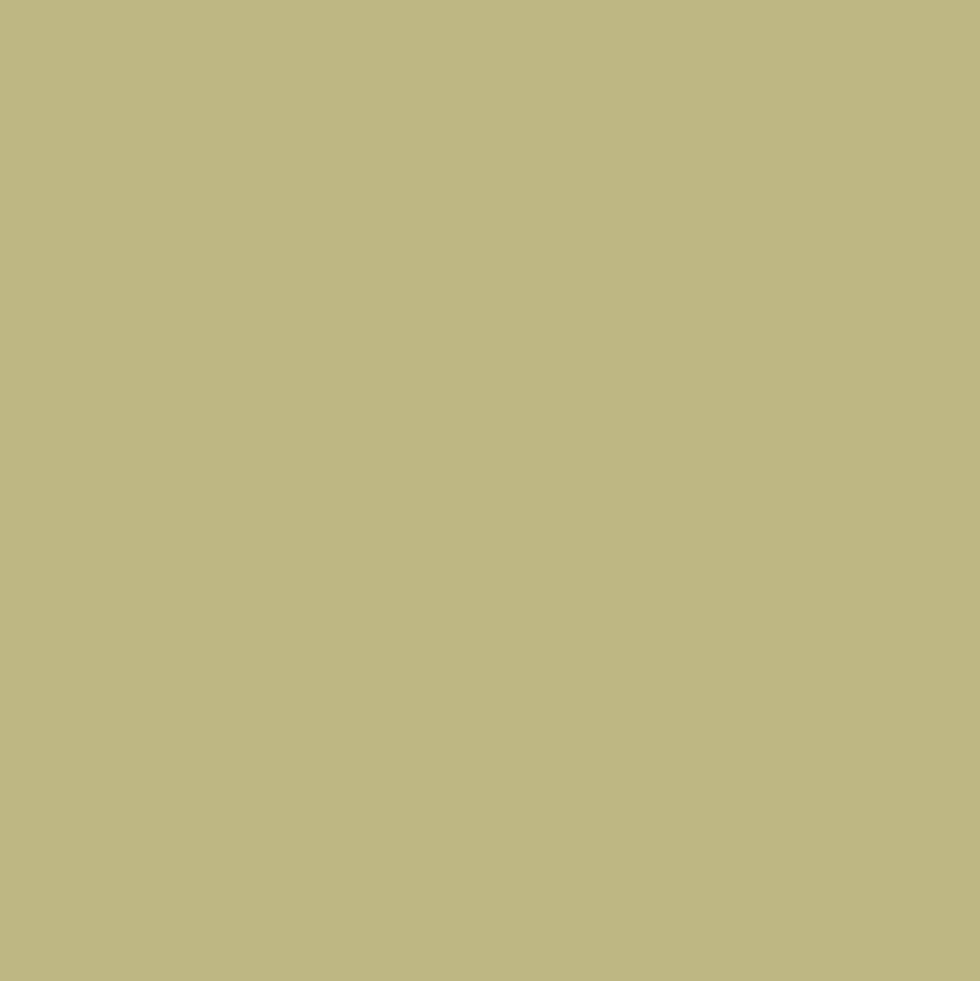Mr. Color C45 Semi-Gloss SAil 10ml