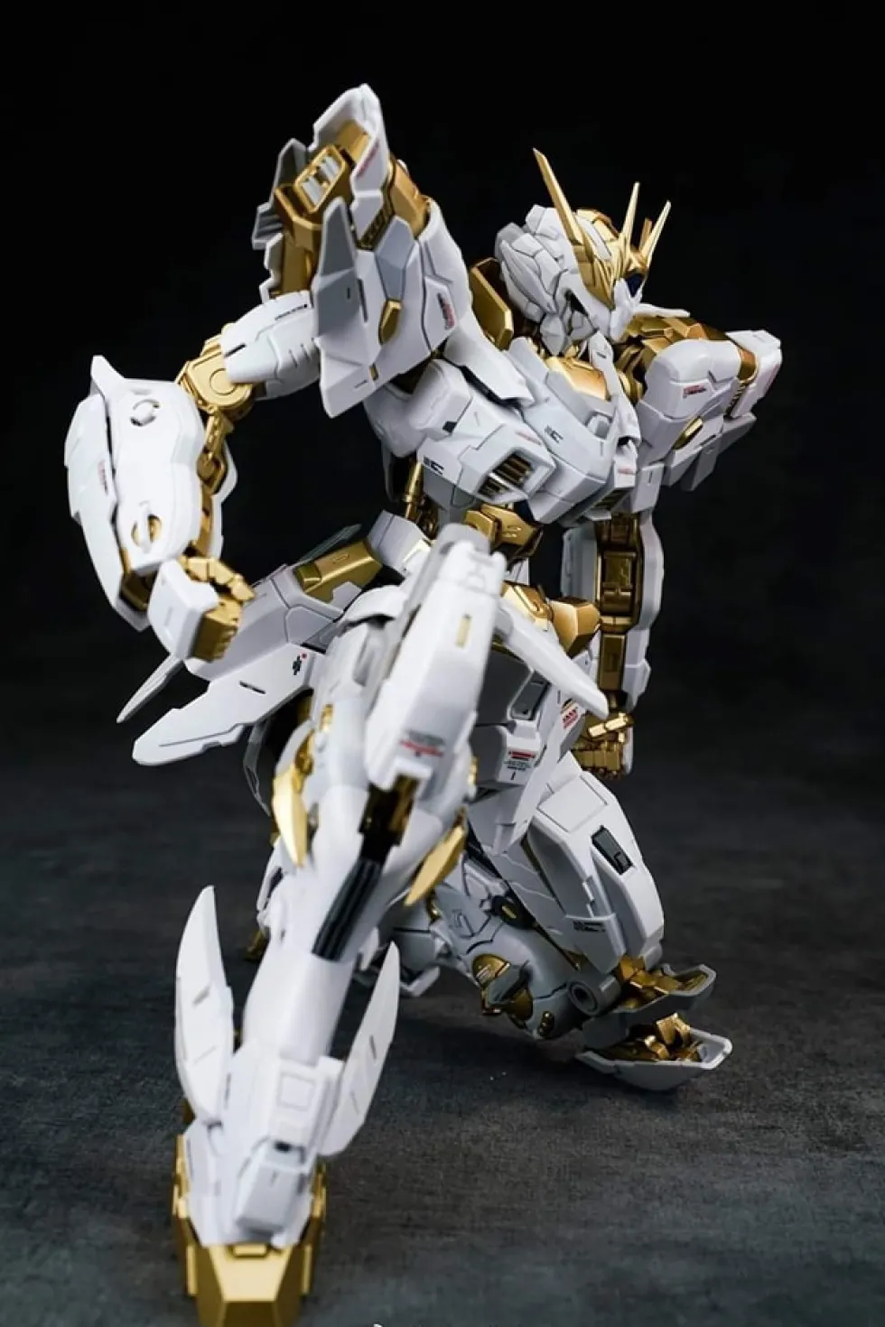 1/100 Oberon Model Kit