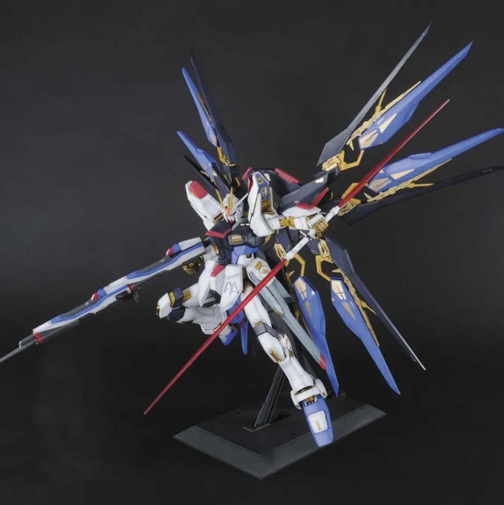 PG ZGMF-X20A Strike Freedom Gundam