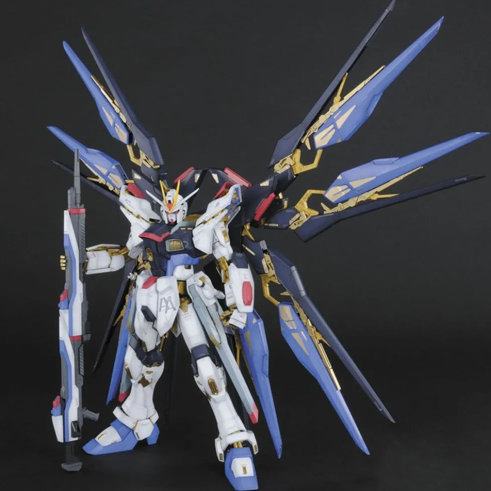 PG ZGMF-X20A Strike Freedom Gundam