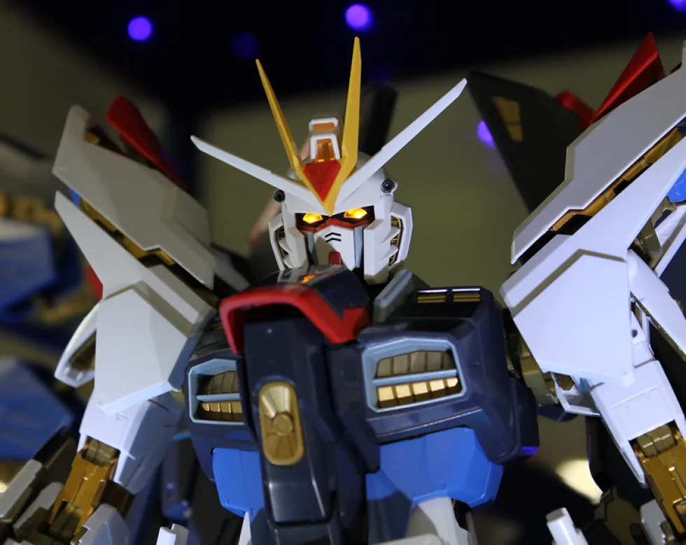 PG ZGMF-X20A Strike Freedom Gundam