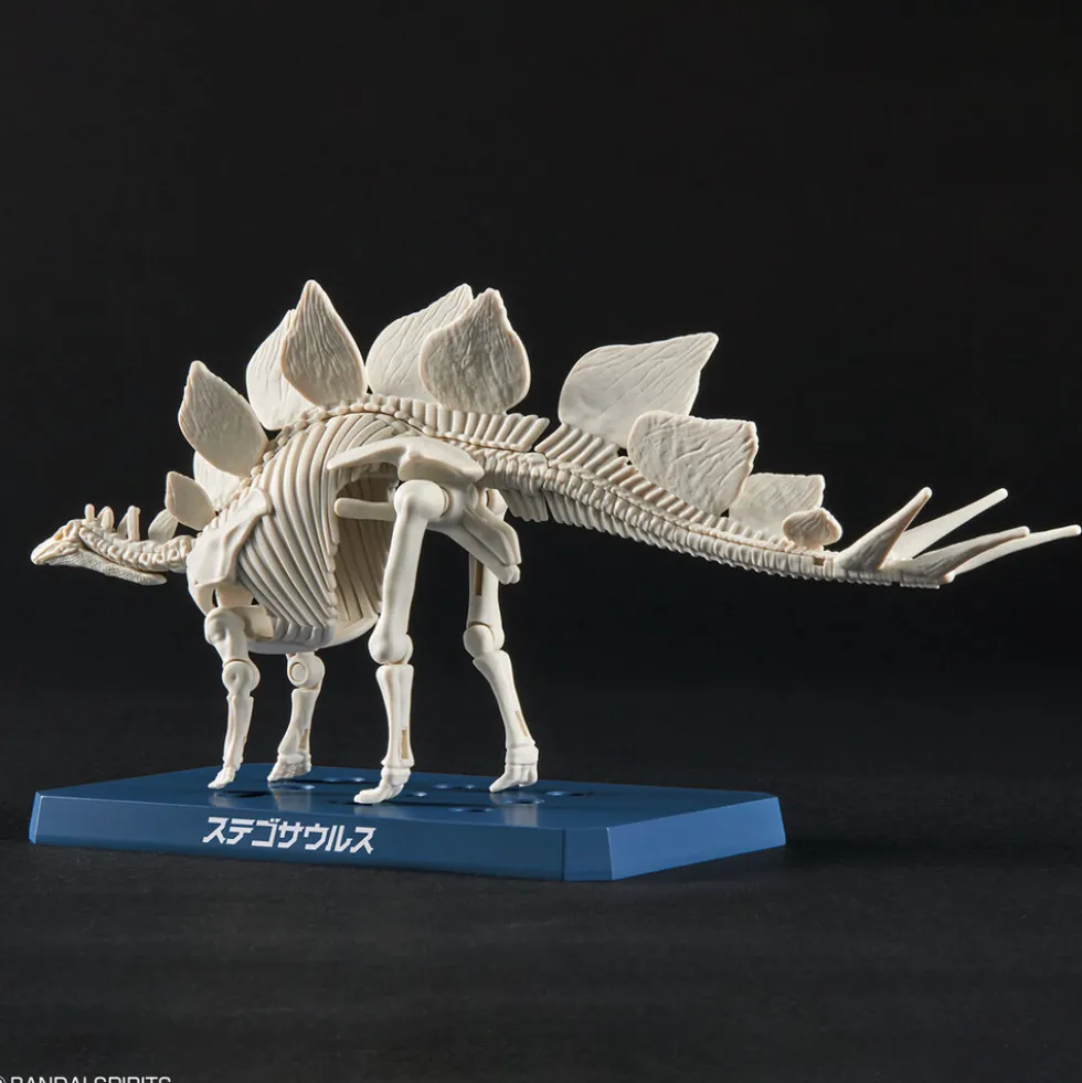 Plannosaurus Stegosaurus