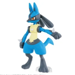 Pokémon Riolu & Lucario
