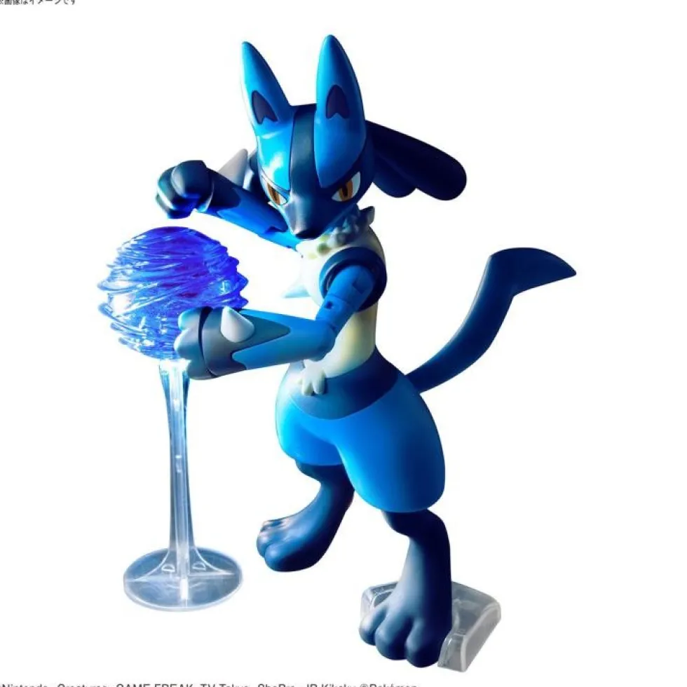 Pokémon Riolu & Lucario