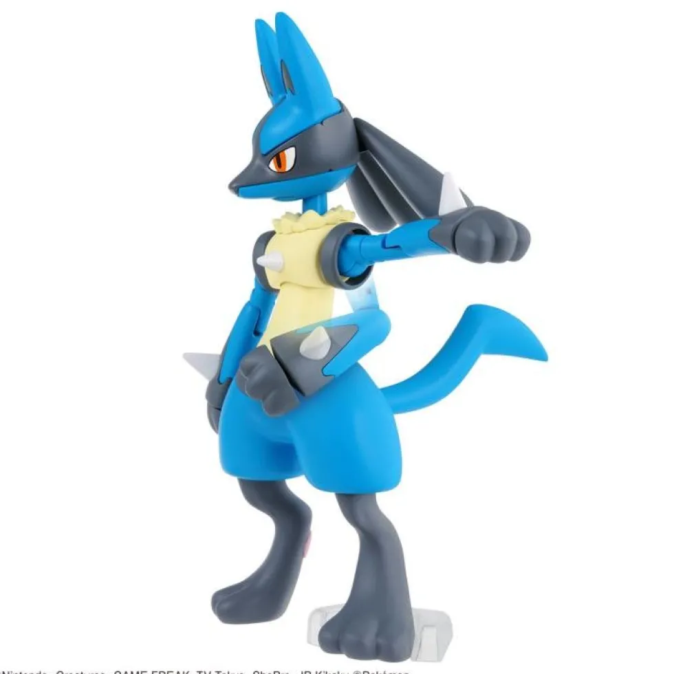Pokémon Riolu & Lucario