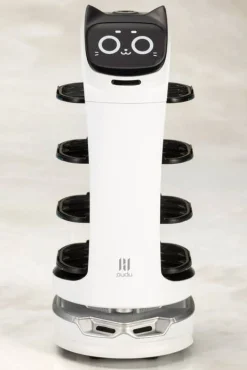 Pudu Robotics BellaBot