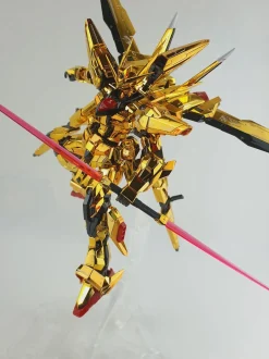 RG Akatsuki