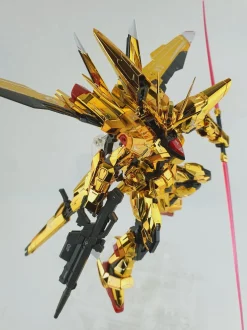 RG Akatsuki