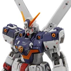 RG 31 Crossbone Gundam X1