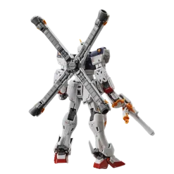 RG 31 Crossbone Gundam X1