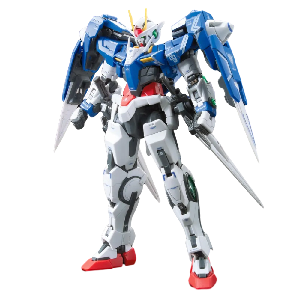 RG 18 GN-0000+GNR-010 00 Raiser