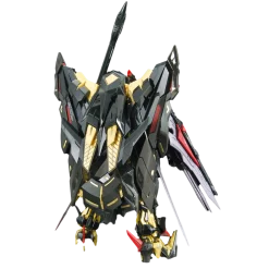 RG 24 MBF-P01-Re2 Gundam Astray Gold Frame Amatsu Mina