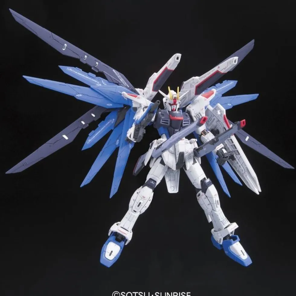 RG 05 ZGMF-X10A Freedom Gundam