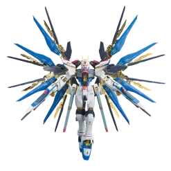 RG 14 ZGMF-X20A Strike Freedom