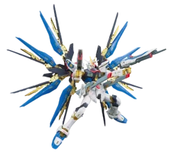 RG 14 ZGMF-X20A Strike Freedom