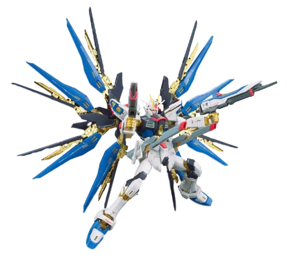 RG 14 ZGMF-X20A Strike Freedom