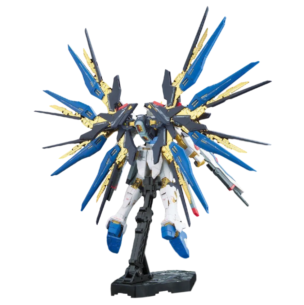 RG 14 ZGMF-X20A Strike Freedom