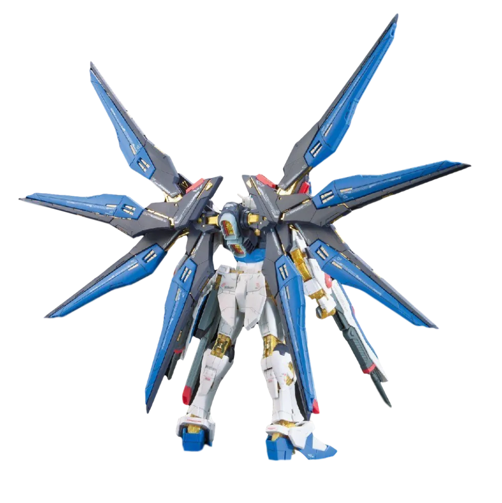 RG 14 ZGMF-X20A Strike Freedom