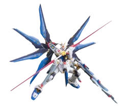 RG 14 ZGMF-X20A Strike Freedom