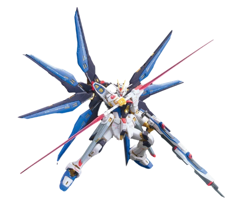 RG 14 ZGMF-X20A Strike Freedom