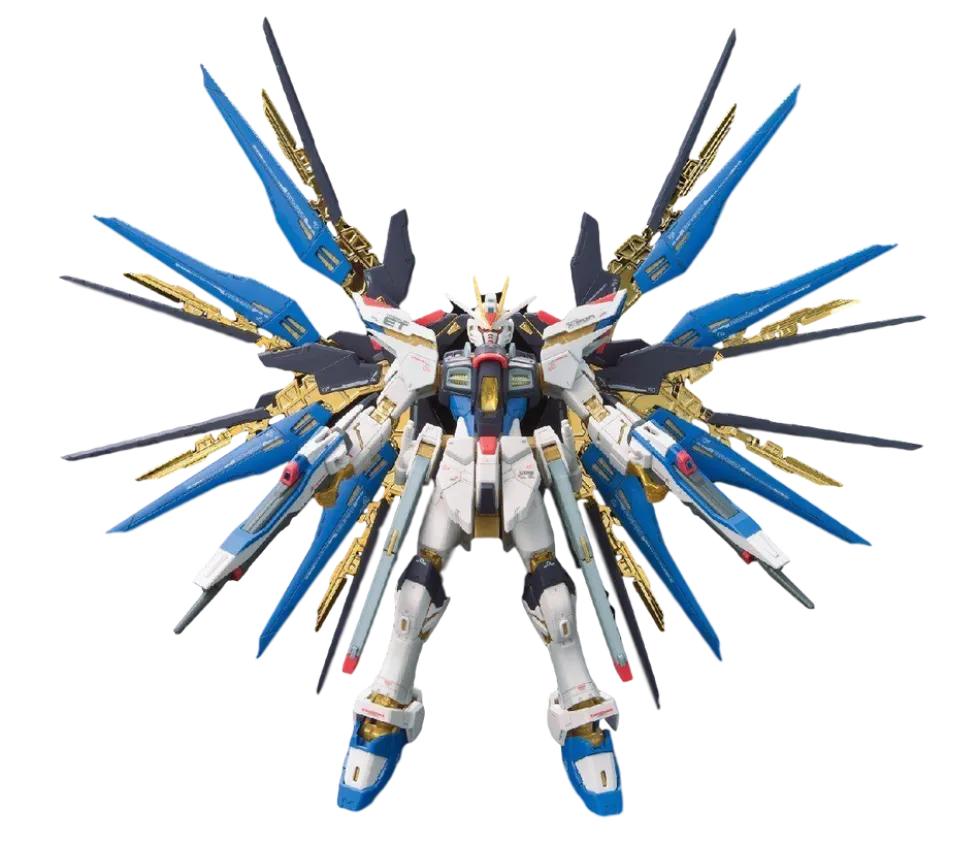 RG 14 ZGMF-X20A Strike Freedom