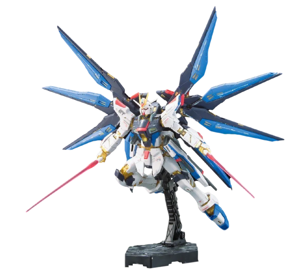 RG 14 ZGMF-X20A Strike Freedom