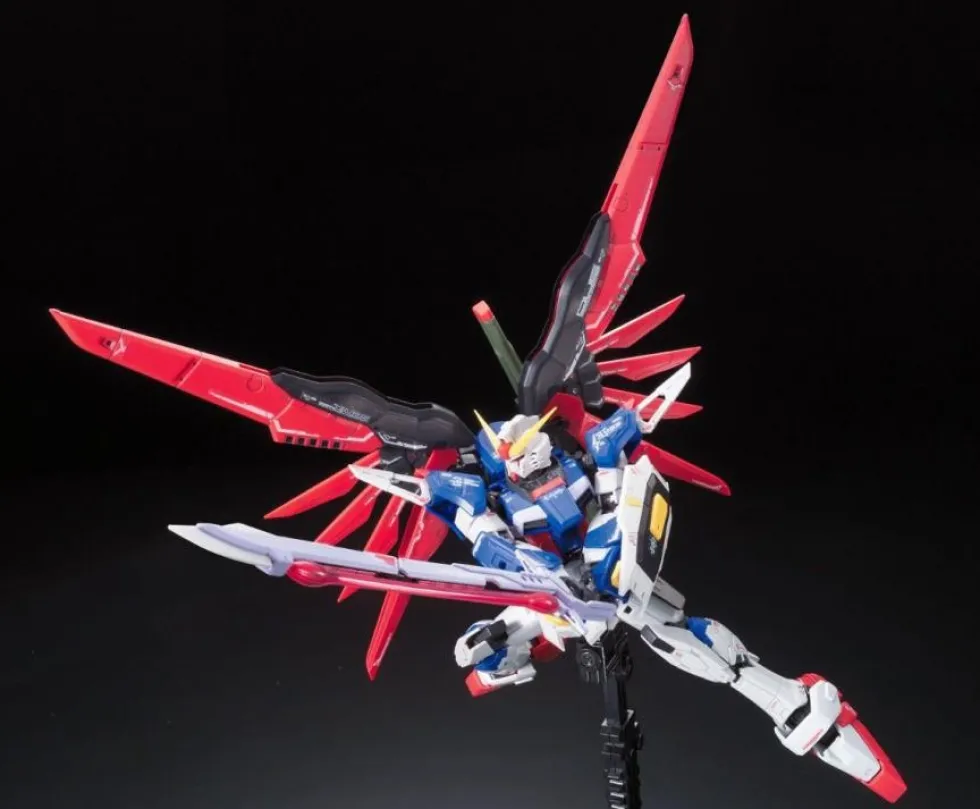 RG 11 ZGMF-X42S Destiny Gundam