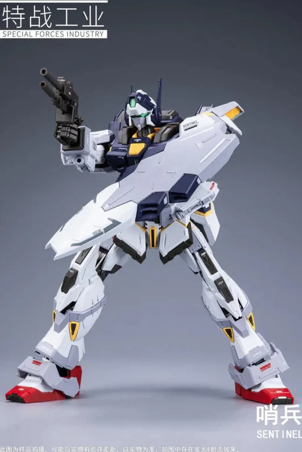 1/100 Sentinel
