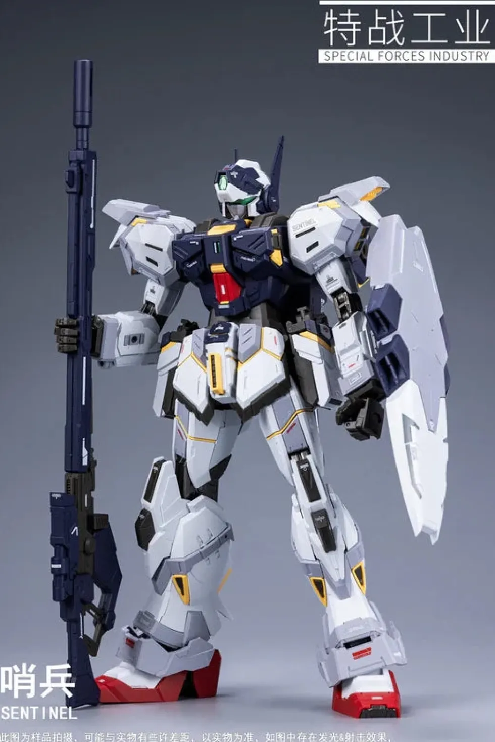 1/100 Sentinel
