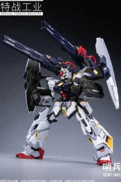 1/100 Sentinel