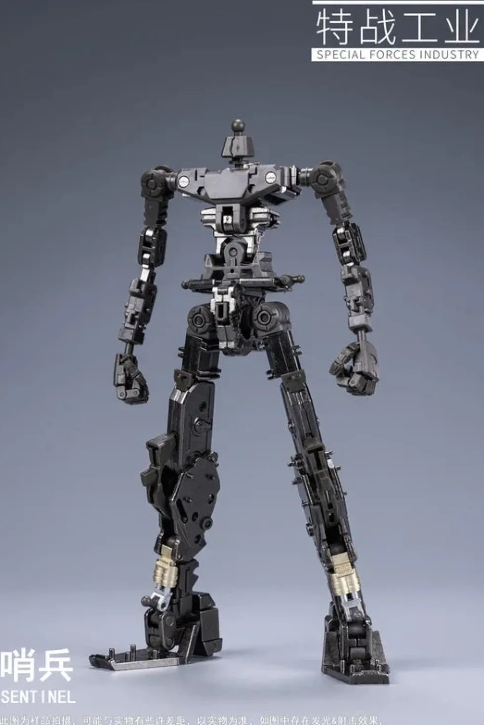 1/100 Sentinel