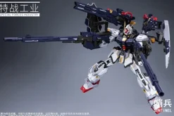 1/100 Sentinel