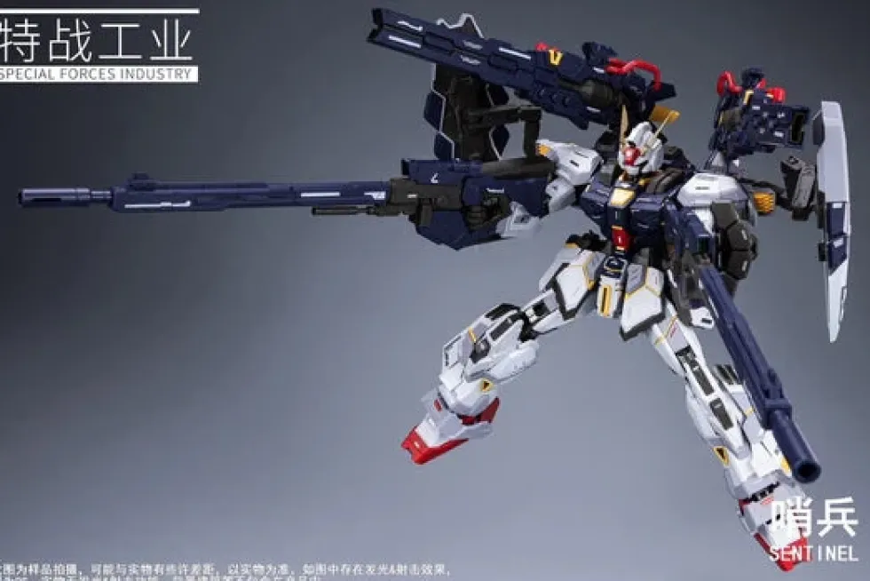 1/100 Sentinel